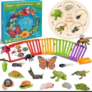 Life Cycle Learning Set - Multicolor